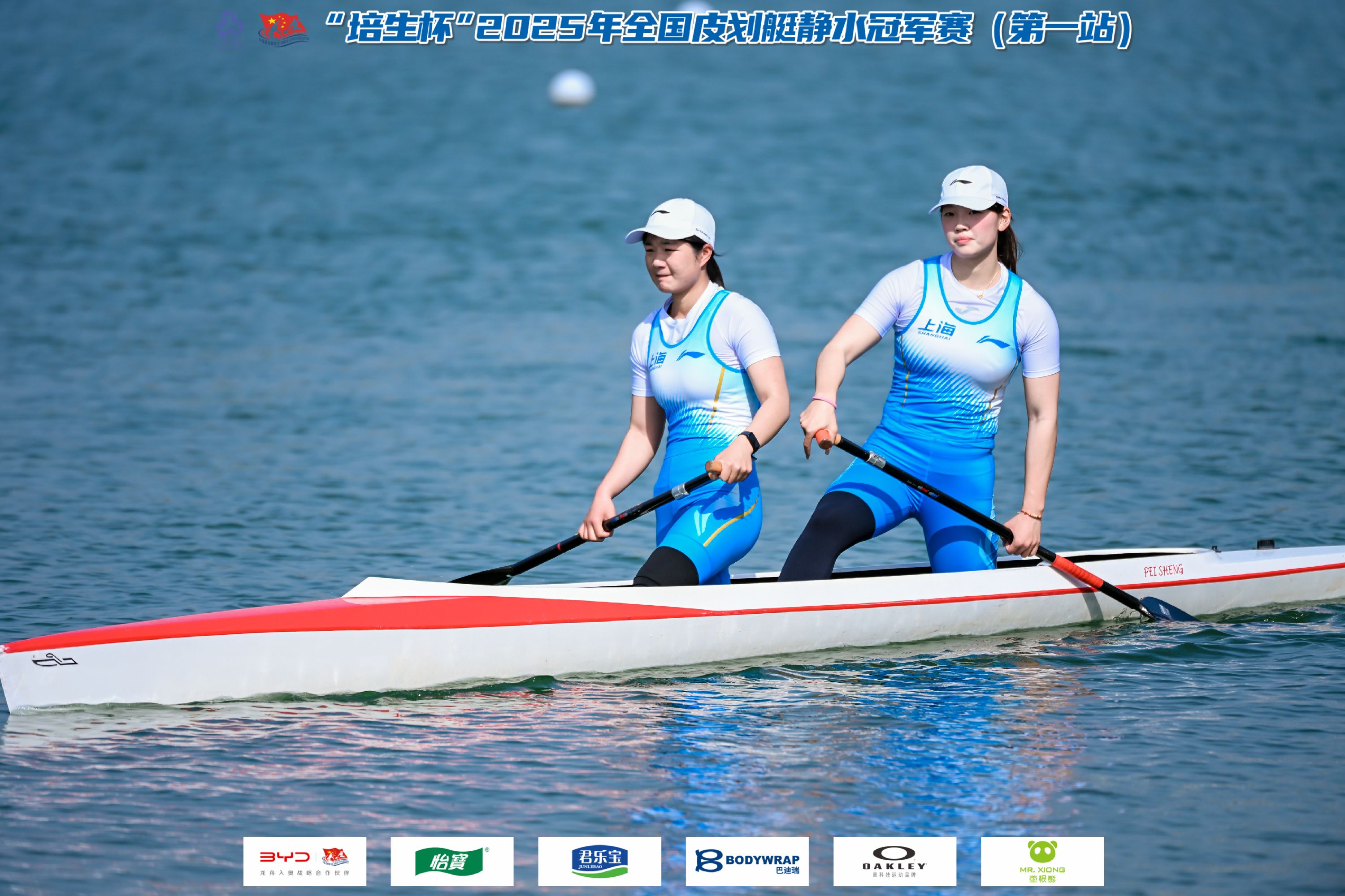 请登录查看高清图