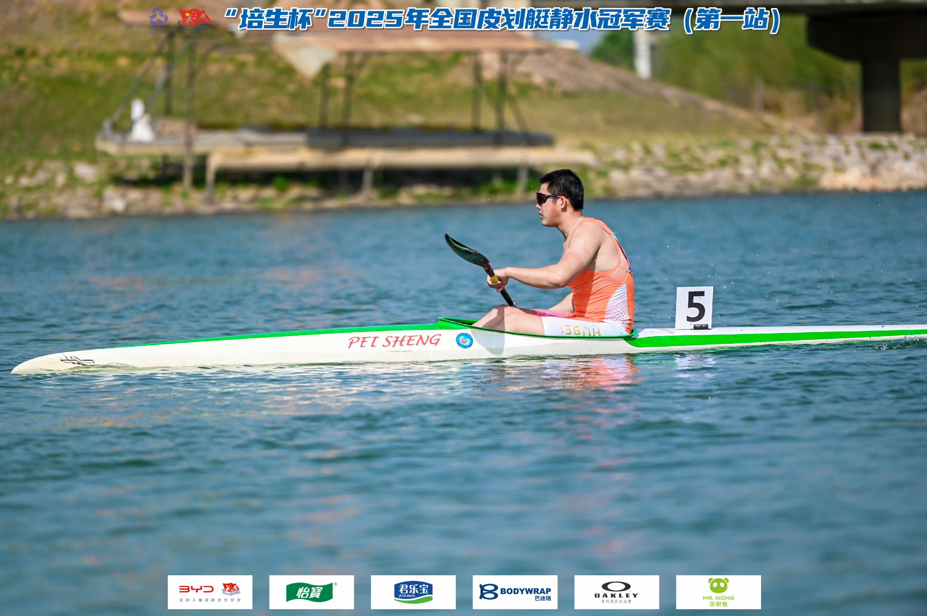 请登录查看高清图