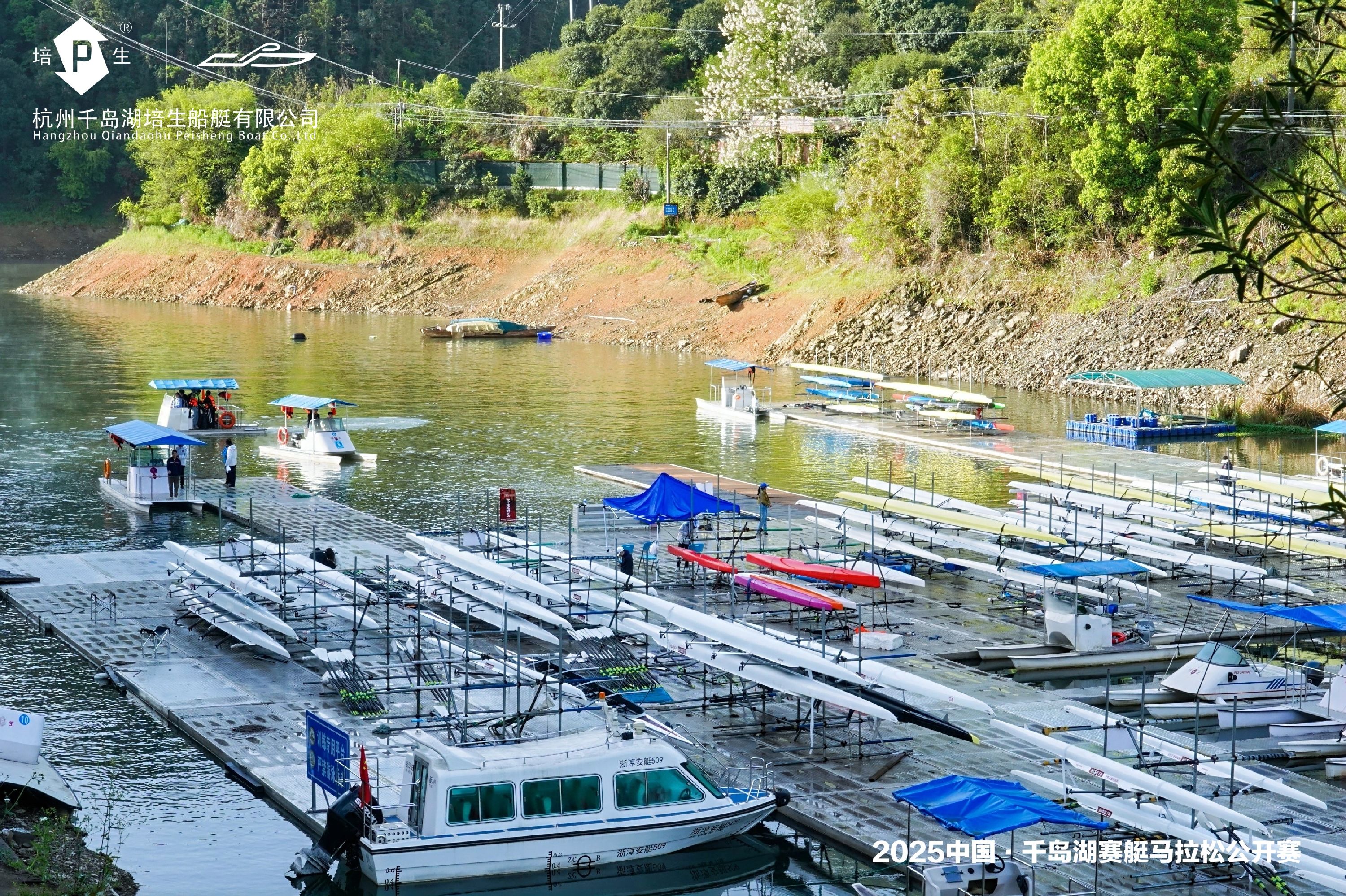 请登录查看高清图
