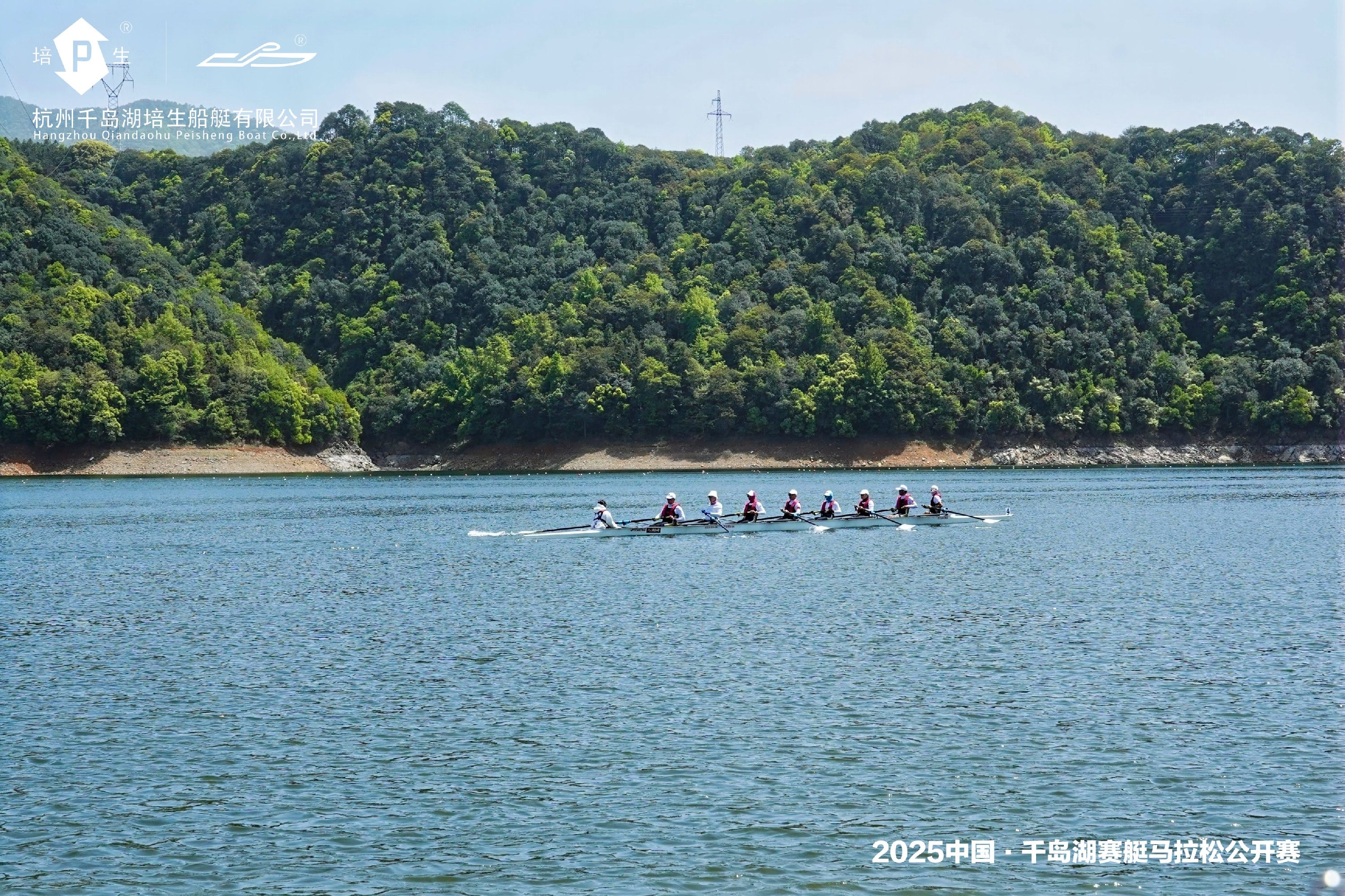 请登录查看高清图