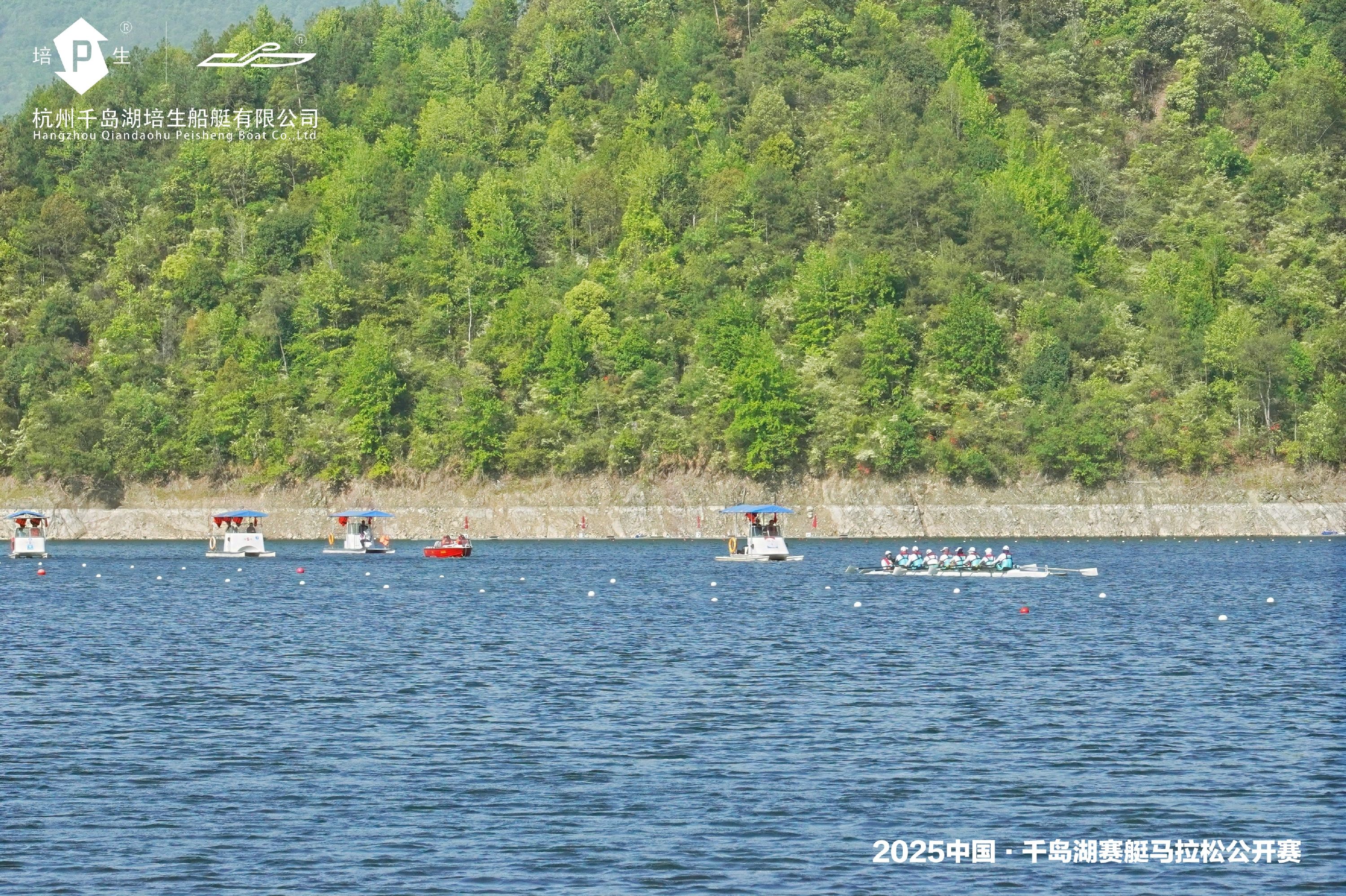 请登录查看高清图