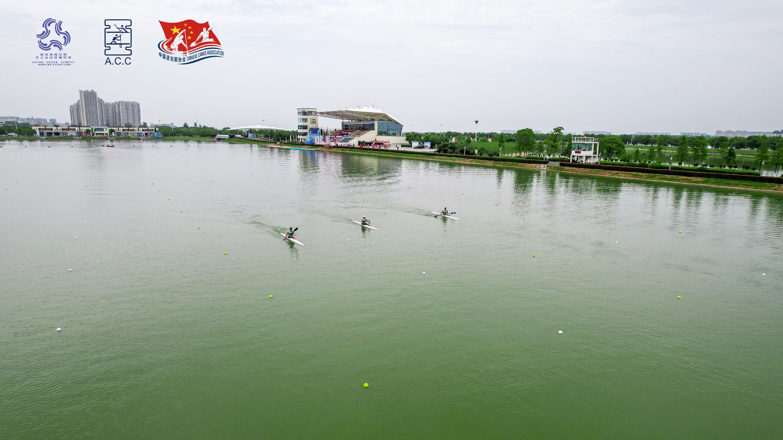 请登录查看高清图