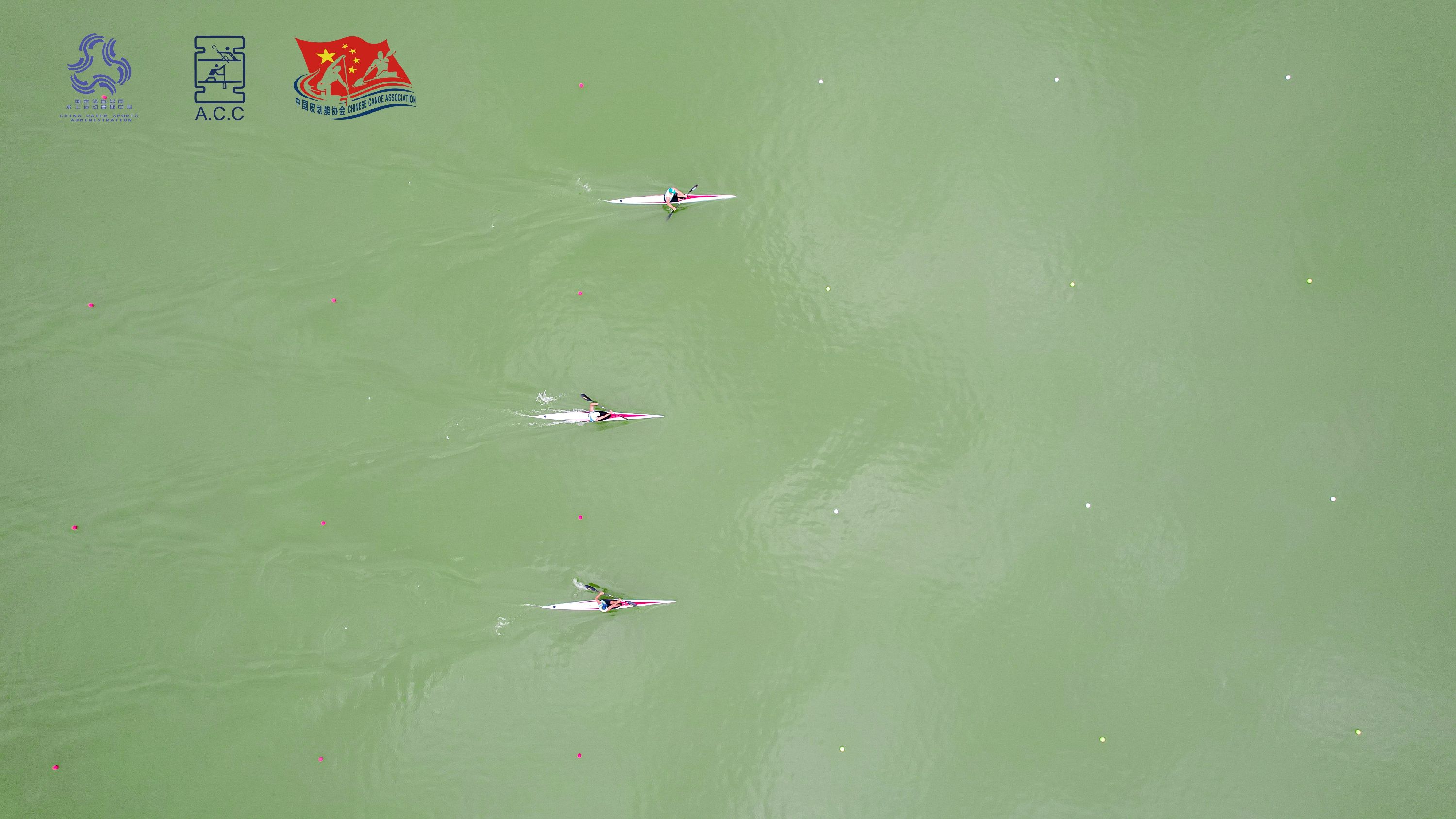 请登录查看高清图