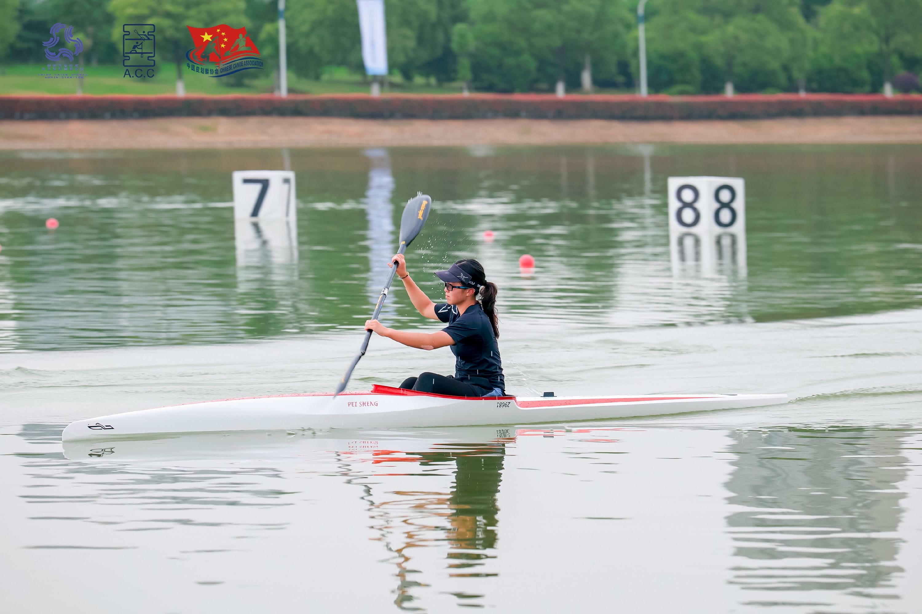 请登录查看高清图