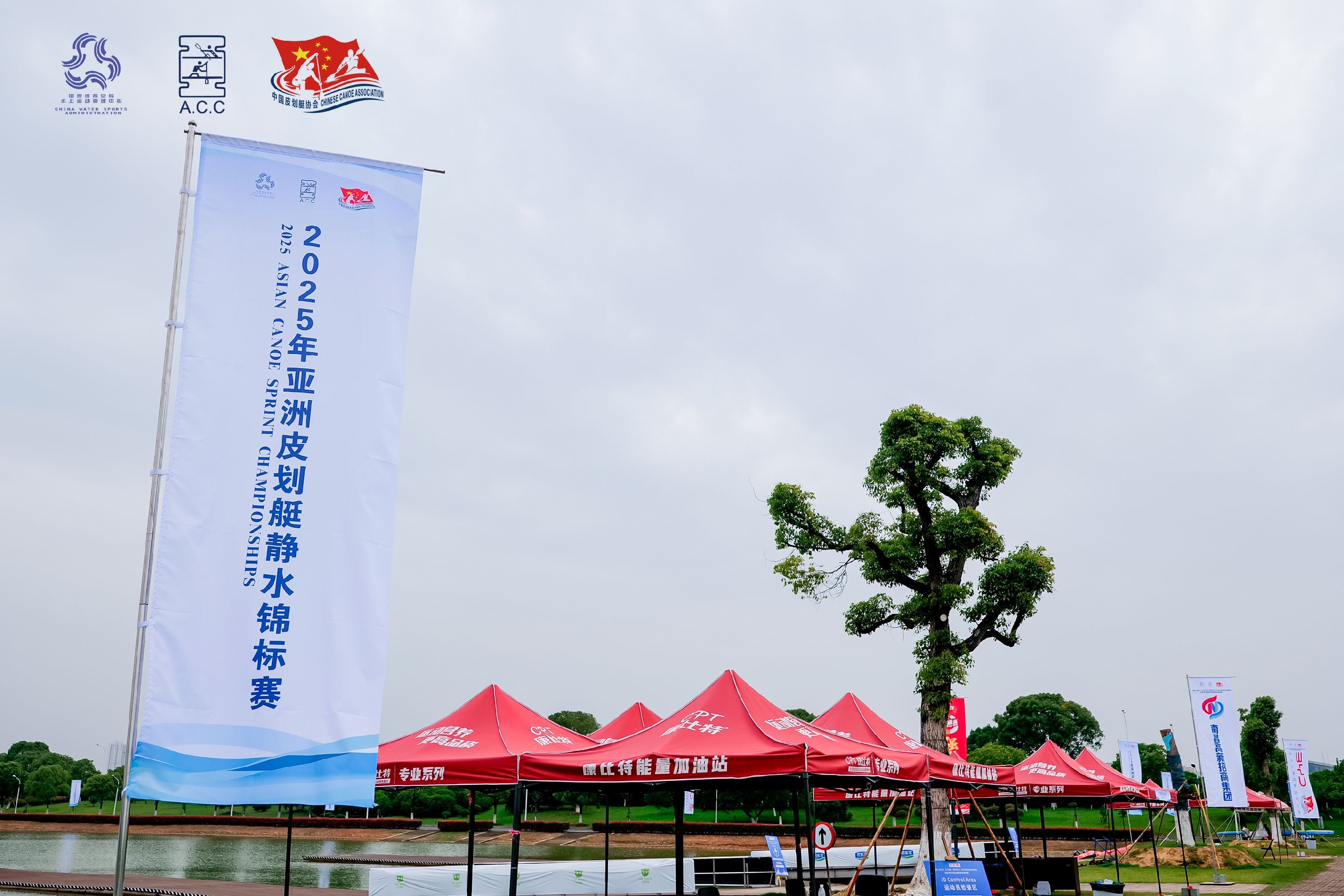 请登录查看高清图