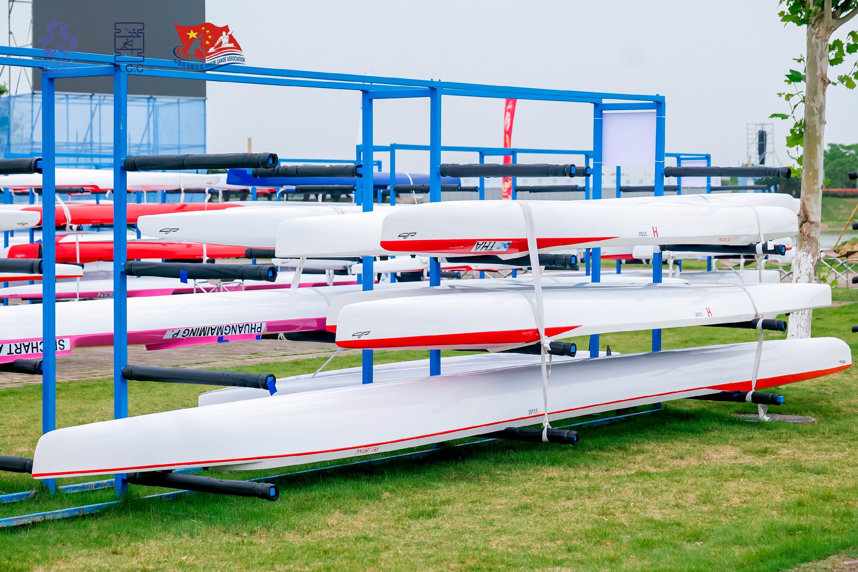 请登录查看高清图