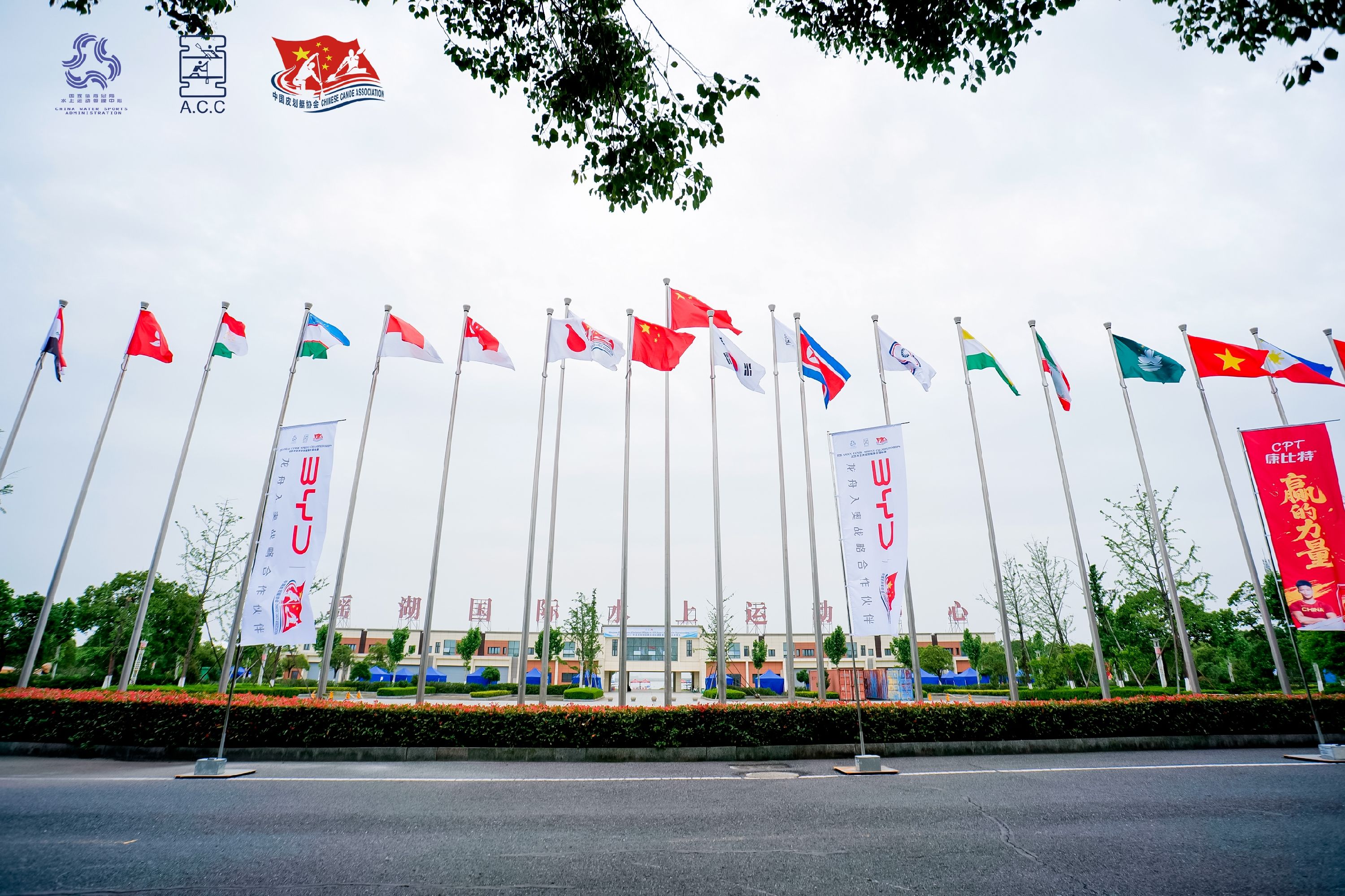 请登录查看高清图