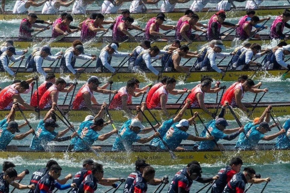 请登录查看高清图