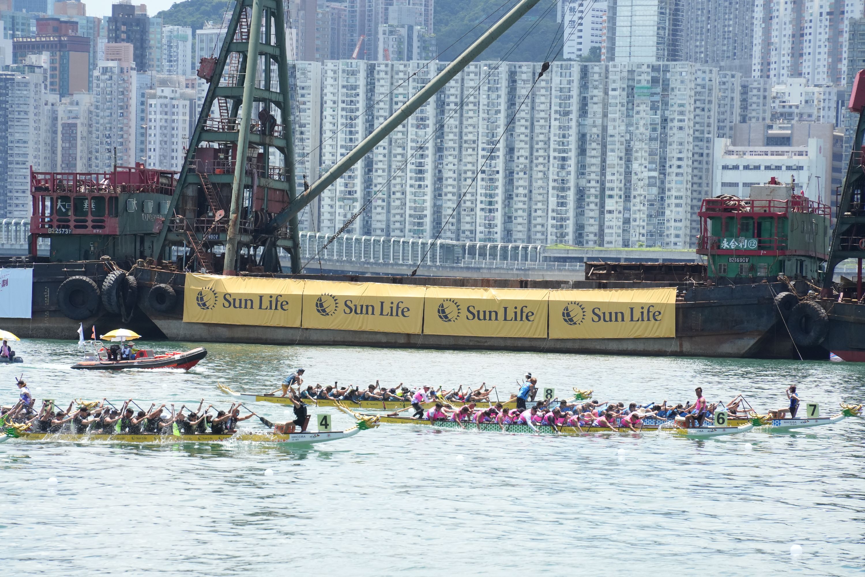 请登录查看高清图