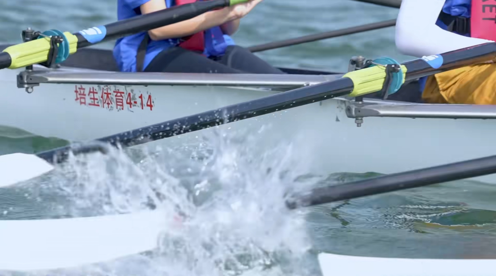 请登录查看高清图