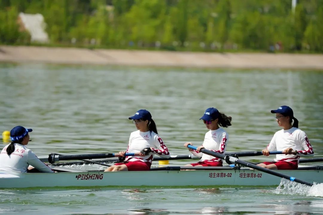 请登录查看高清图