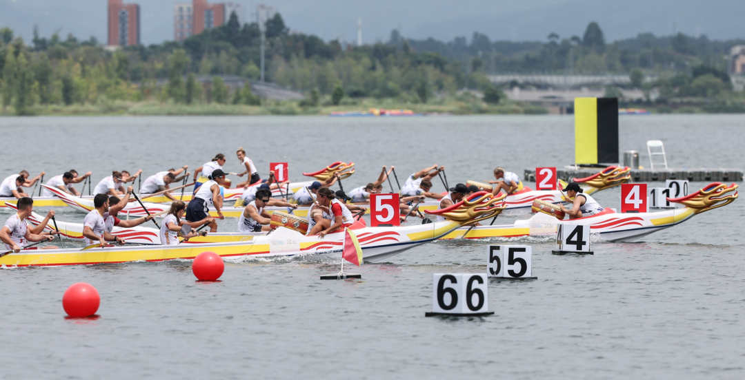 请登录查看高清图