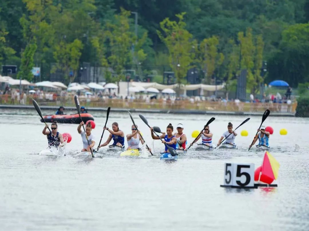 请登录查看高清图