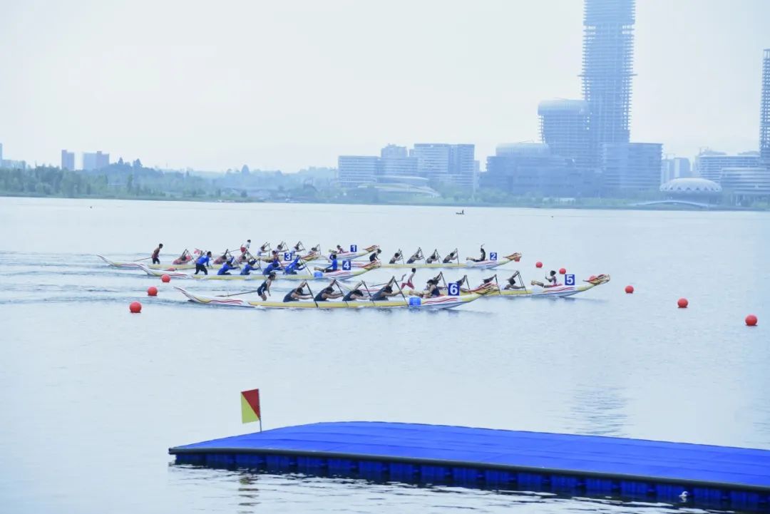 请登录查看高清图