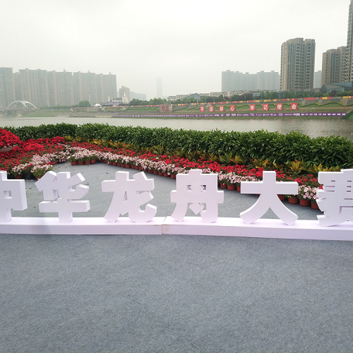 2019年中华龙舟大赛（长沙芙蓉站）