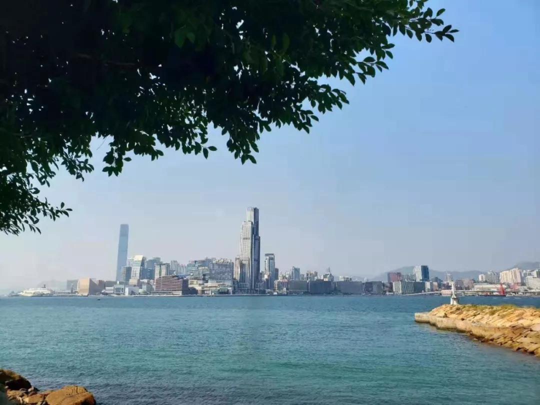 完赛即英雄—南京艇进铁人组合勇征香港环岛45公里赛艇马拉松