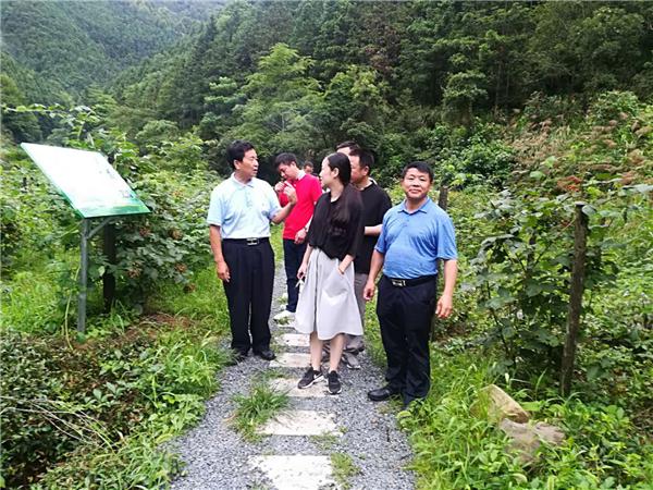 淳安县政协旅游工作组考察培生船艇公司、金紫尖铁皮石斛公司