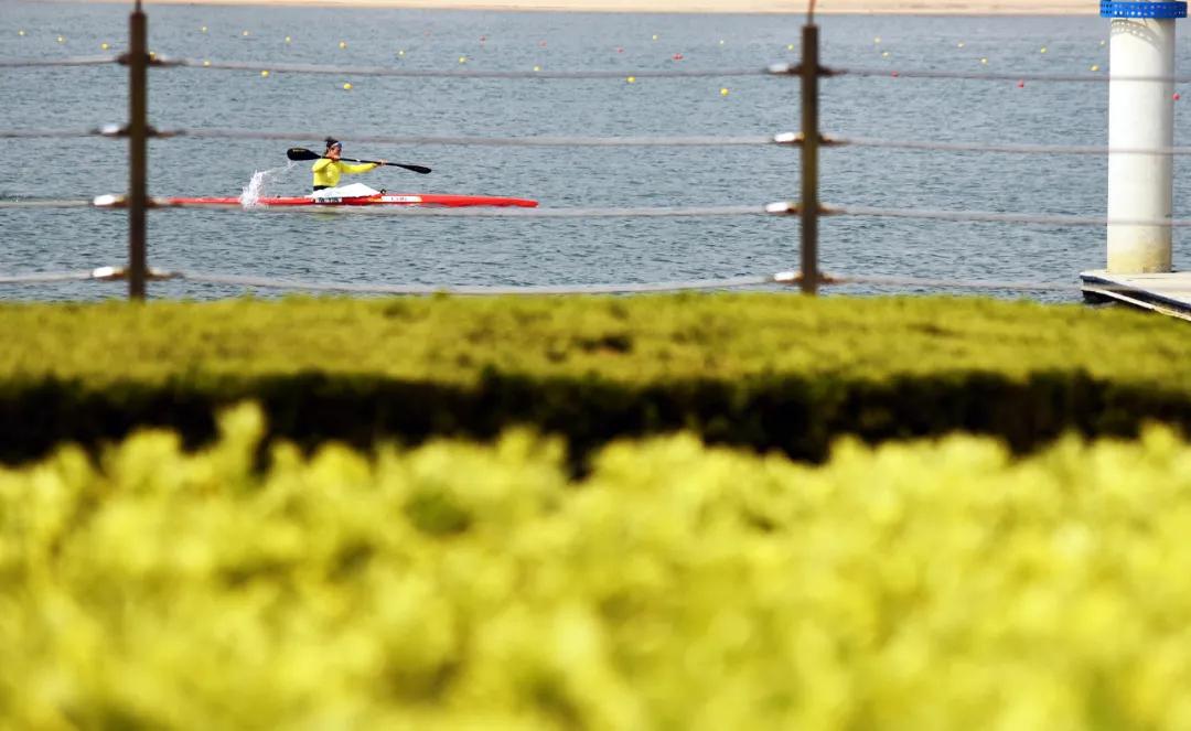 学习抗疫英雄 厚植红色基因 淬炼奥运英雄——中国赛艇队、皮划艇队开展“祖国在我心中”主题活动