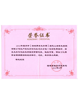 2012年福州市体育局海峡两岸龙舟赛唯一指定运动竞赛器材荣誉证书