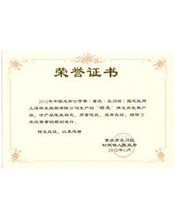 2012年中国龙舟公开赛（重启·永川站）指定器材供应商荣誉证书