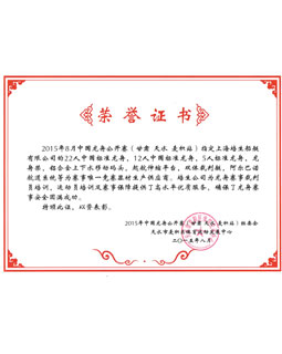 2015年甘肃天水麦积站唯一竞赛器材供应商荣誉证书