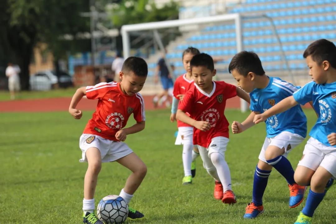 青少年户外运动应遵循适度原则