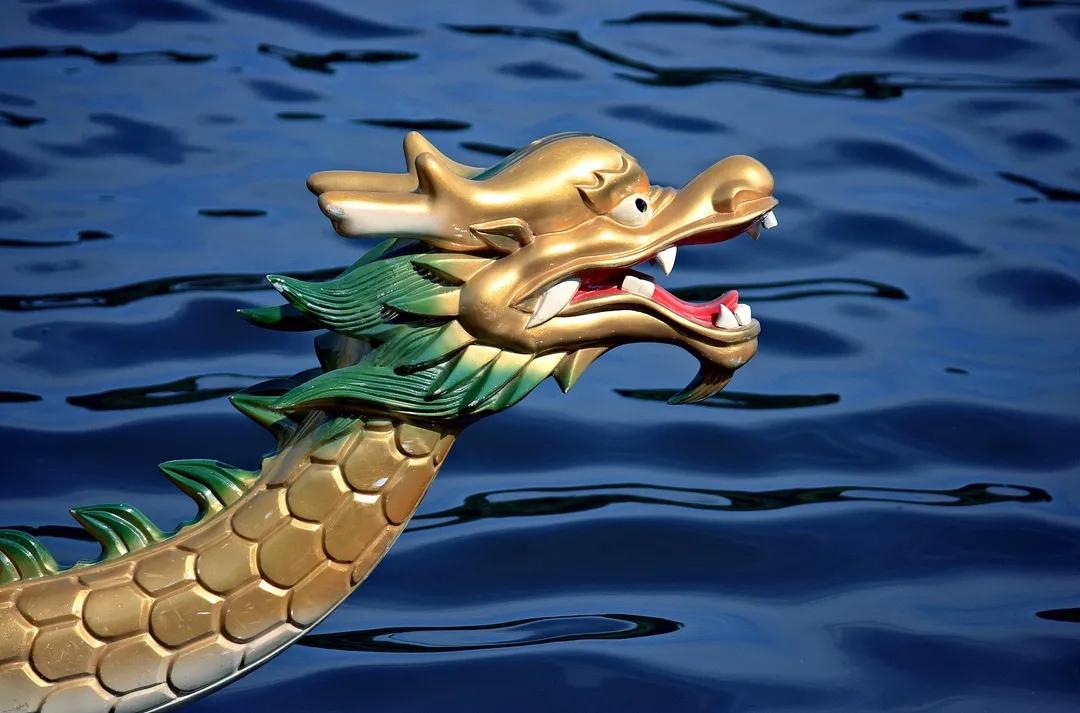 龙舟这些事你还不知道吗