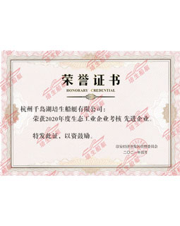2020年度生态工业企业考核先进企业荣誉证书
