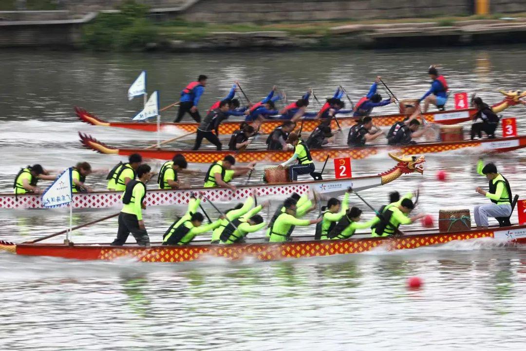 龙舟水上竞渡，看全国各地大学生在温州上演速度与激情